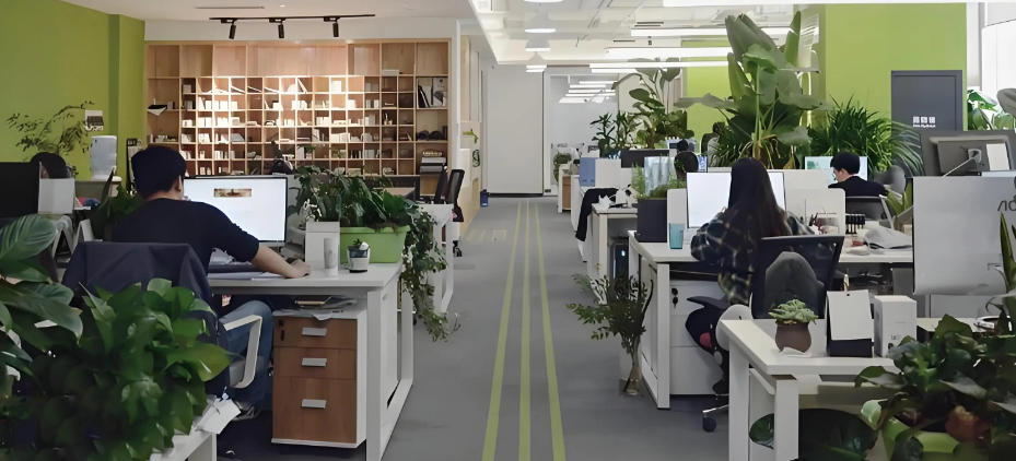 凤凰传奇影业有限公司轮播图4